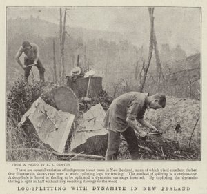 Log-Splitting com dinamite na Nova Zelândia de English Photographer