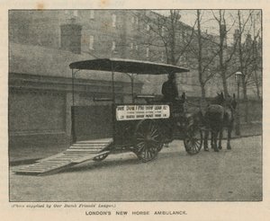 Ambulância de cavalo nova de Londres de English Photographer