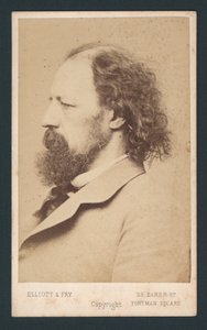 Senhor Tennyson Cartão De Visitas de English Photographer