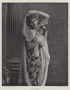 margarida