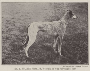 Sr. T Holmess Gallant, vencedor da Taça de Waterloo de English Photographer