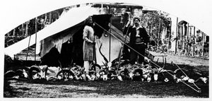 Meus troféus de caça indianos, c.1870s de English Photographer