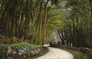 Na estrada para blackgang de English Photographer