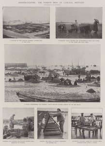 Ostra-cultura, as famosas camas em Cancale, Bretanha