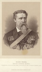 Retrato do Coronel William Hicks de English Photographer