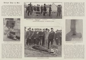 Ronggen Rays in War