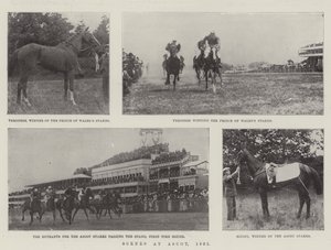 Cenas em Ascot, 1901 de English Photographer