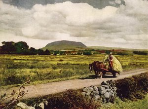 Slemish, Condado de Antrim (fotografia a cores) de English Photographer