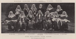 Alguns juízes irlandeses bem conhecidos de English Photographer