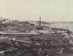 Sunlight Soap Companys Works, próximo a Sydney de English Photographer