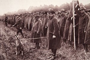A resenha Anzac na planície de Salisbury: um mascote australiano, ilustração do The Illustrated War News, 27 de setembro de 1916 (foto sépia) de English Photographer