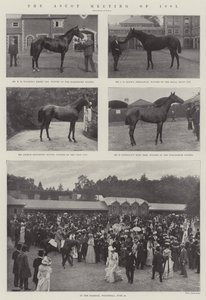 O encontro de Ascot de 1901