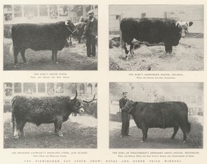 The Birmingham Fat Stock Show, Royal e outros vencedores do prêmio
