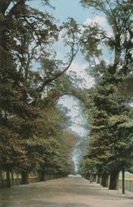The Broad Walk de English Photographer