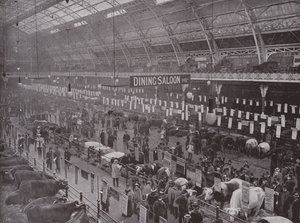 The Cattle Show, Royal Agricultural Hall de English Photographer