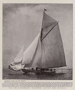 O trevo do desafiador da taça que deixa suas amarras de English Photographer