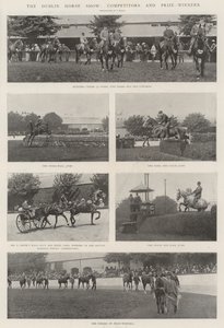 O Dublin Horse Show, Concorrentes e Premiados