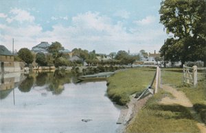 As Elms e Rio Tâmisa em Abingdon de English Photographer