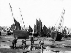 A frota pesqueira no porto de St Ives, c.1880-99 de English Photographer