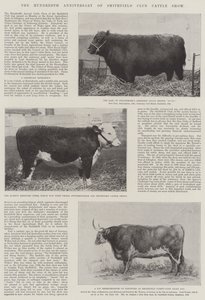 O Centésimo Aniversário do Smithfield Club Cattle Show