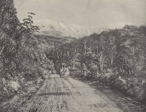 The Huon Road de English Photographer