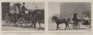 The Kings Illness de English Photographer