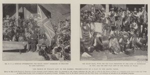 O Príncipe de Waless Presente aos Maoris, Apresentação de uma Bandeira à Tribo Arawa de English Photographer