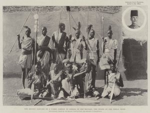 O recente saque de um comboio de camelos por Dinkas no Sudão, os chefes da tribo Dinka de English Photographer
