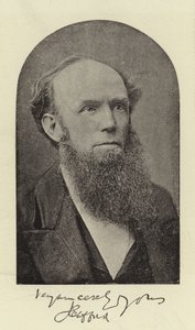 O Rev J Clifford, DD de English Photographer