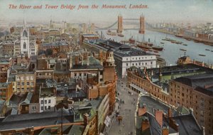 O rio e a Tower Bridge do monumento, Londres de English Photographer