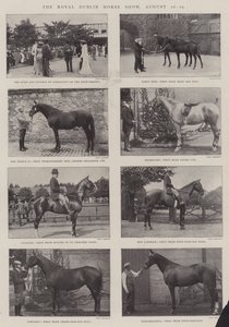 O Royal Dublin Horse Show, de 26 a 29 de agosto de English Photographer