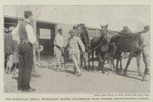 A Crise do Transvaal, destreinando Cavalos para Serviço com o Coronel Baden-Powells Force de English Photographer