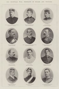 A Guerra do Transvaal, Retratos de mortos e feridos