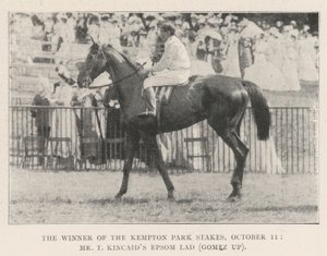 O vencedor do Kempton Park Stakes, 11 de outubro, Sr. T Kincaids Epsom Lad (Gomez) de English Photographer