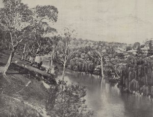 O Yarra no Studley Park de English Photographer