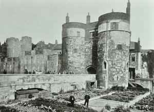 Torre de Londres, Tower Hill: o beauchamp e Byward Towers, 1895 de English Photographer