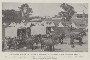 Vagões de transporte do Corpo de Bushmens do Sul da Austrália para a África do Sul de English Photographer