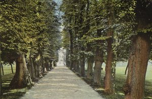 Trinity College, a avenida de English Photographer