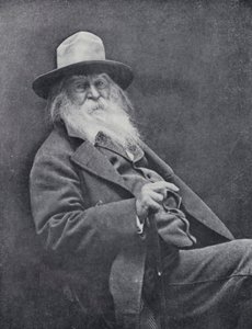 Walt Whitman (foto a p/b) de English Photographer
