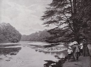 Wanstead Park de English Photographer