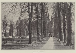 Catedral de Winchester