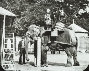 Jardins Zoológicos, Regents Park: elefante com adultos e crianças passeando, zoológico de Londres, 1894 de English Photographer
