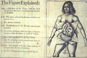 1177 b.19 