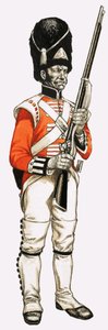 92nd. Granadeiro de Pé 1815 de English School