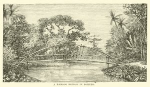 Uma ponte de bambu em Bornéu de English School