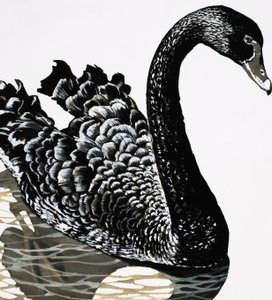 Um cisne negro de English School