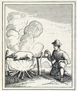 Um Boucan, de "Santo Domingo Past and Present", de Samuel Hazard, pub. 1873 de English School