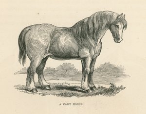 Um cavalo de carroça (gravura) de English School