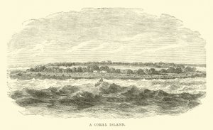 Uma ilha de coral de English School
