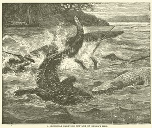 Um crocodilo carregando um dos homens de Baker (gravura) de English School